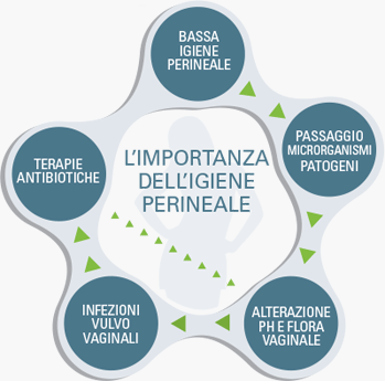 grafico-ciclo-igiene