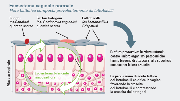 grafico-igiene-interna